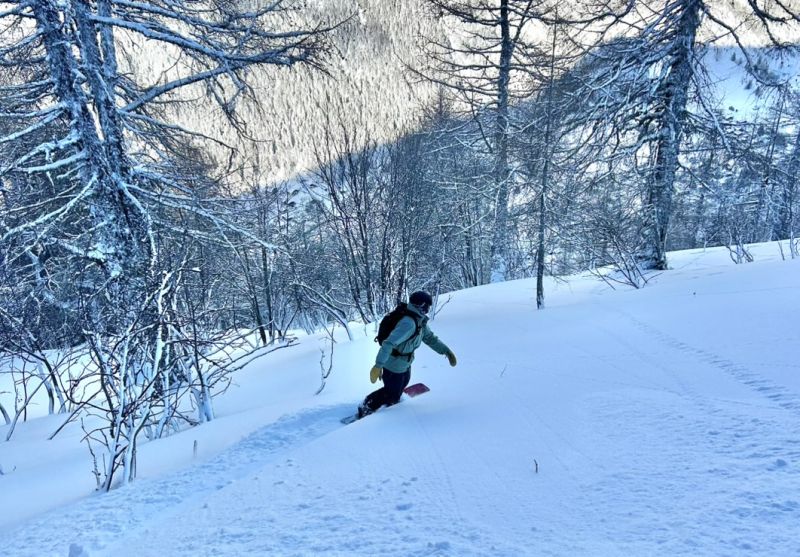 Snowboard hors-piste en forêt dans la vallée de Chamonix