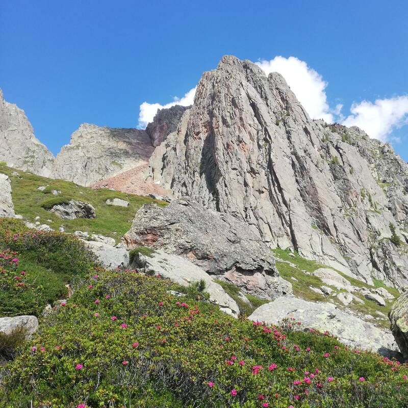 Parat Seigneur route - Aiguille de Praz - Torrent