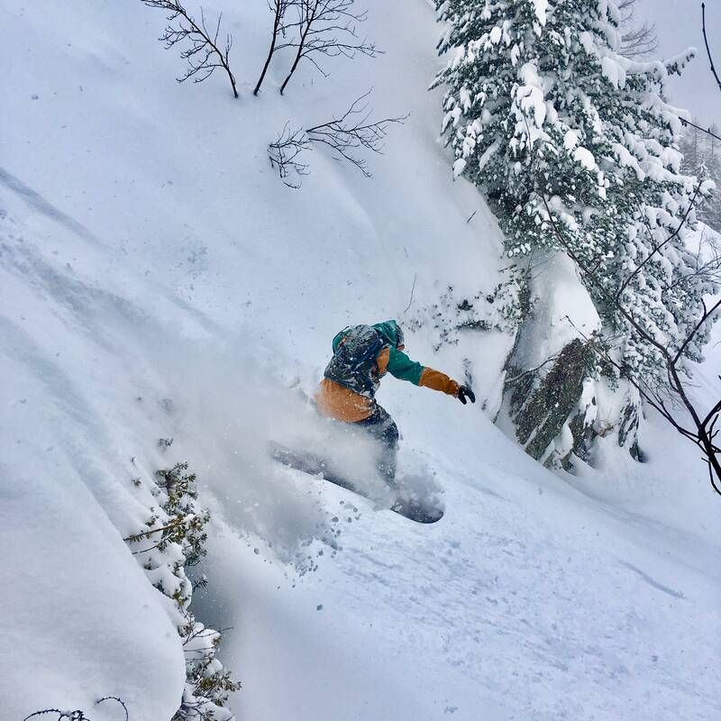 Excellent freeride terrain at Le Tour - plenty of trees and drops for our advanced freeride snowboard course in Chamonix.